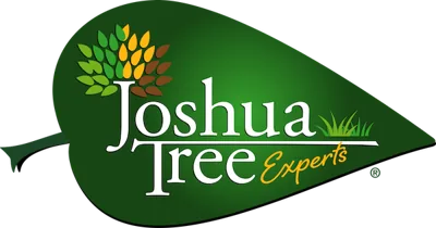 Joshua Tree Experts